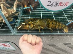 -巧克力渔家.小船海鲜胶东菜(万平口店)