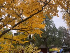 -红螺寺