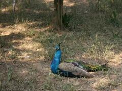 -镇江市南山风景名胜区竹林景区