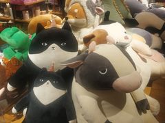 -九木杂物社(领展购物广场中关村店)