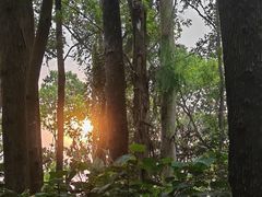 -水濂山森林公园