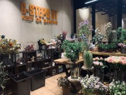 点击看大图 -G-STEPS舞蹈工作室