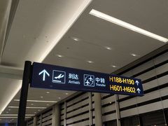 -上海浦东国际机场-T2航站楼