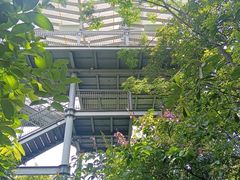 -佛山华盖山公园