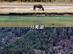 -折多山