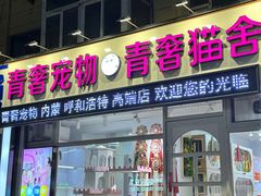 -青奢宠物·青奢猫舍