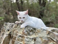 -棒棰岛宾馆景区