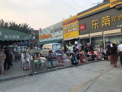 -中环花鸟鱼虫市场