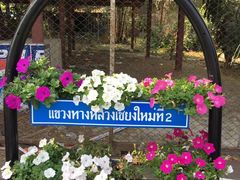 -宁曼路