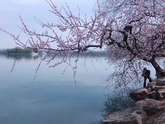 -颐和园