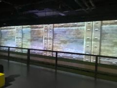 -VS SPORTS PARK运动玩乐园·团建·生日会(合生汇店)