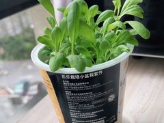 -丰茂烤串(外滩星荟中心店)
