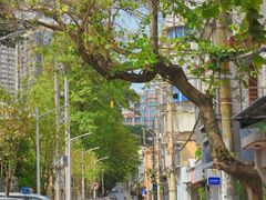 -溪岸路花鸟市场