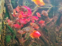 -多彩贵州城极地海洋世界