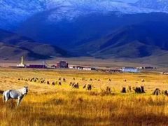 -青海湖国家重点风景名胜区