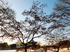 -景福宫