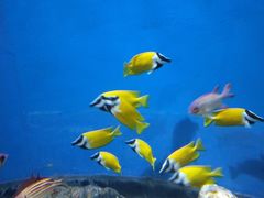 -福州罗源湾海洋世界旅游区