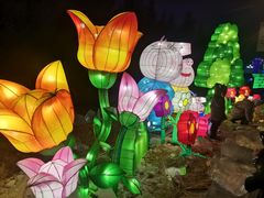 -长春公园(普阳街道)