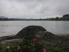 -洛龙公园