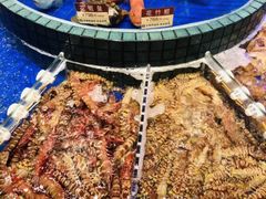 -新海利海鲜城·41年珠海老字号(夏湾店)