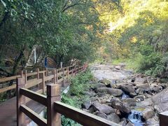 -广州白江湖森林公园