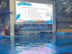 -合肥海洋世界