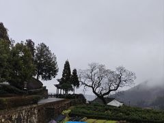 -乌石村