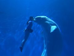 -多彩贵州城极地海洋世界