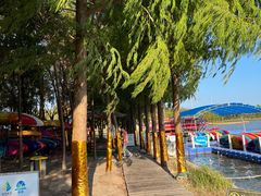 -上海海湾国家森林公园