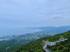 -三亚亚龙湾人间天堂鸟巢度假村
