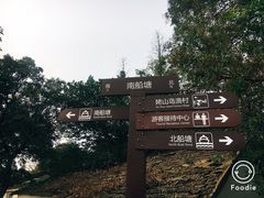 -巢湖姥山岛