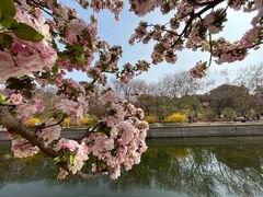 -元大都城垣遗址公园