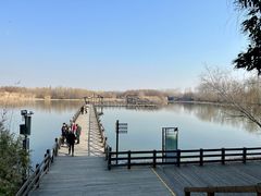 -溱湖国家湿地公园