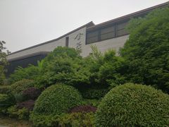 -上海崇明金茂凯悦酒店