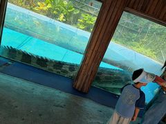 -广州长隆飞鸟乐园