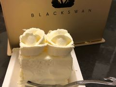 -BLACKSWAN黑天鹅(环球店)