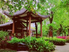 -南宁南湖公园