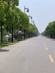 -水八仙生态园