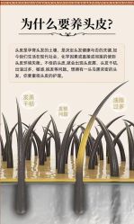 -诗碧曼养发