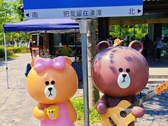 -溱湖国家湿地公园