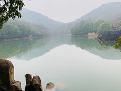-白马涧龙池景区