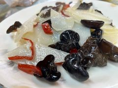 -龙翔山庄雷鸡肉(青城后山泰安古镇店)