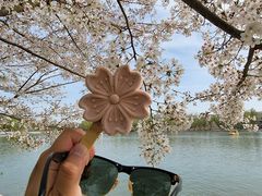 -颐和园