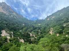 -鲁山国家森林公园