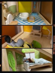 -莫莉幻想儿童乐园(三河燕郊永旺店)