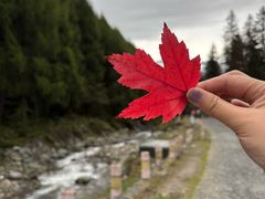 -硗碛藏寨·神木垒景区