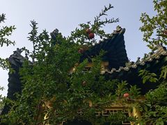 -白佛山景区