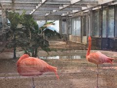 -石家庄市动物园