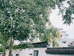 -棠樾牌坊群鲍家花园景区