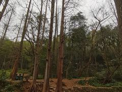 -西湖风景区十里琅珰-五云山